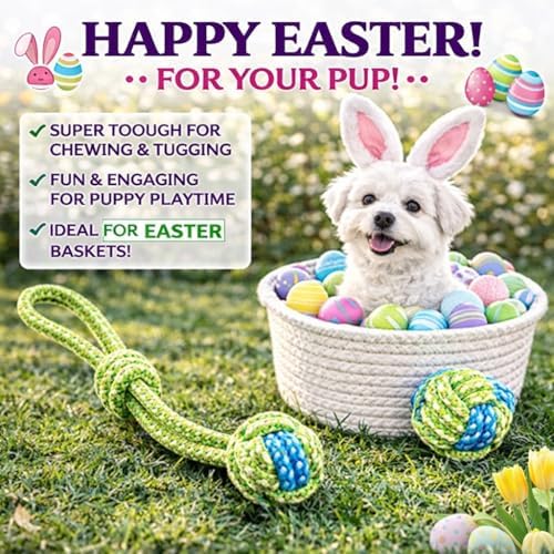 6 Pack Rope Toys for Dogs Aggressive Chewers, Prevents Boredom and Dental Cleaning for All Dog Sizes, Cotton Dog Tug Rope Toy for Instinctual Play, Exercise, and Training