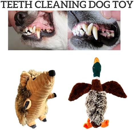 Dog Toy Squeak Toys Hedgehog | Mallard-Shaped | Shaped Pet Toys | Duck Dog Toys for Large Dogs | Mallard Dog Toy | Dog Chew Toys | Stuffed Toys Interactive Animal