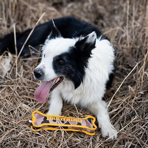 Browning Canvas Bone Toy Vintage Camo S