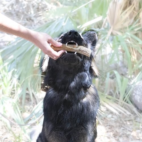 lemuria Gorilla Wood Dog Chew, Coffee Wood Dog Chew Real Wooden Bone, Safe Dental Cleaning Chews for Teething Puppy, Stress Relief Toys (Extra Large)