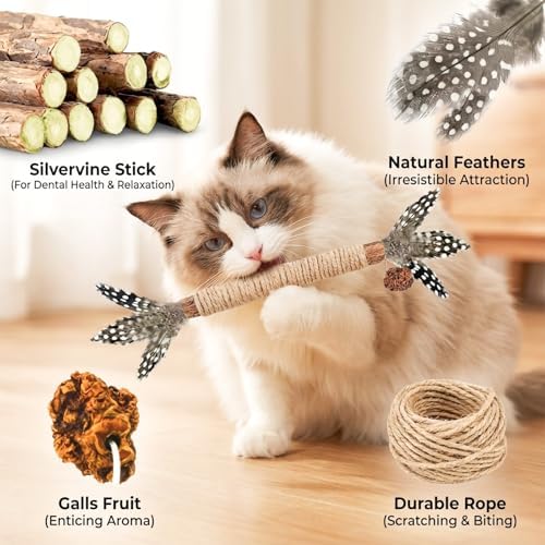 Cat Chew Toys Silvervine Sticks Dental Treat Feather 3Pack Indoor