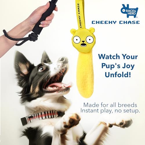 Race&Herd Cheeky Chase Flirt Pole for Dogs Heavy Duty - Catch Rod for Pet Fishing Toy, Tug of War Dog Toy for Aggressive Chewers, Dog Rope Toys for Medium Dogs