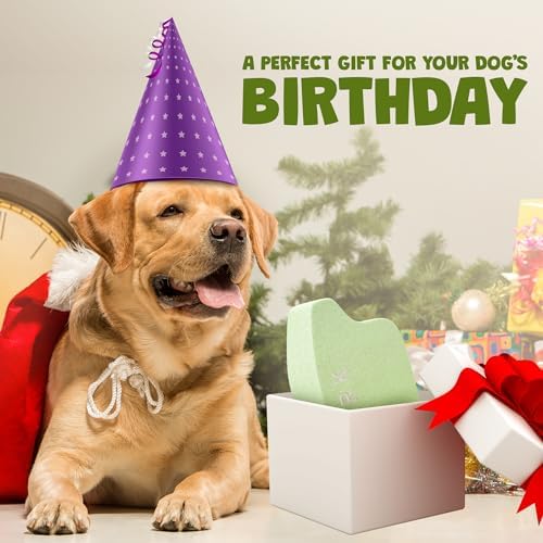 Two Tails Puff Parody Dog Toy – Funny Squeaky Dog Toys for Interactive Play and Training – Durable, Easy to Clean, Birthday Gifts for Small, Medium and Large Dogs - Mint