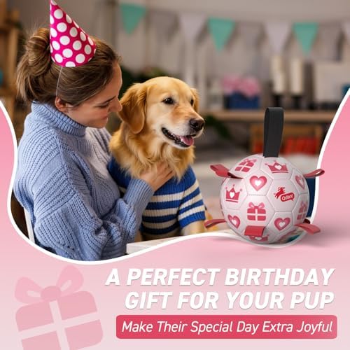 QDAN Valentines Gift Dog Toys, 8 Inch Dog Soccer Ball with Straps, Pink