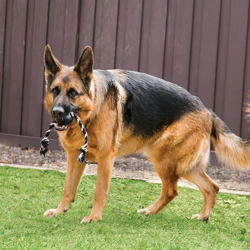 KONG Extreme Ball with Rope, Rubber Fetch Toy, Black, for Large Dogs