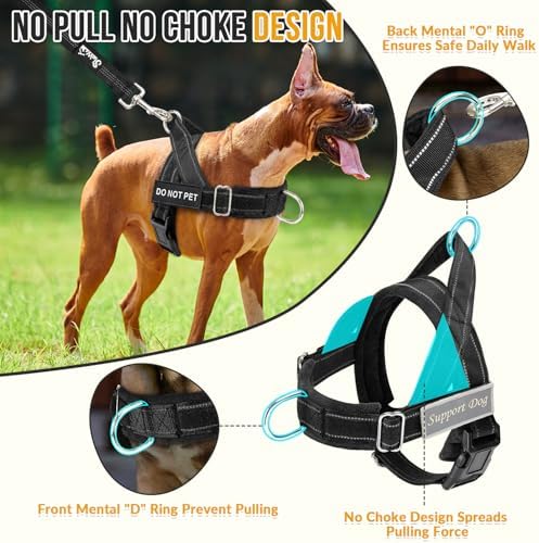 Lukovee No Pull Dog Harness and Leash Set, Soft Padded for Large Medium Dog