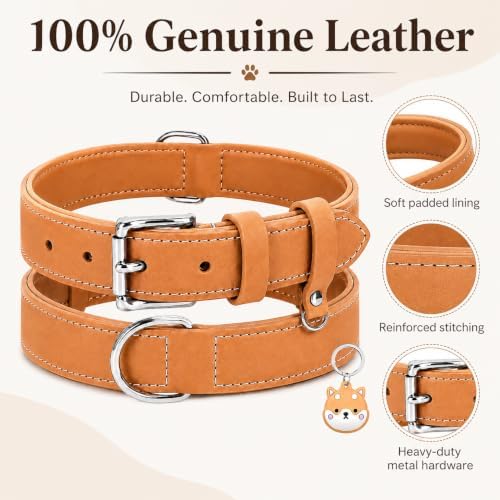 Genuine Leather Dog Collar, Soft Padded Leather Dog Collars with Airtag Holder Case for Small Medium Large X-Large Dogs,Comfort Heavy Duty Pet Collar with Durable Metal Buckle & D-Ring-Khaki/XS