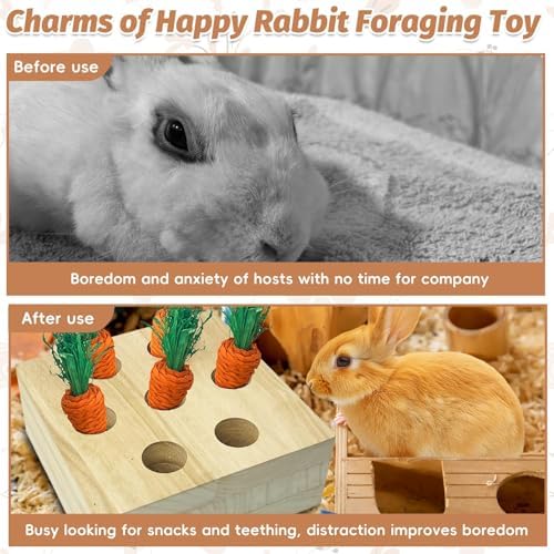 PINVNBY 6 PCS Rabbit Foraging Toys Wooden Bunny Enrichment Toy Guinea Pig Chew Toy Hamster Interactive Hide Treats for Rabbits Bunnies Chinchillas Rats (with 5 PCS Carrot Teething Toys
