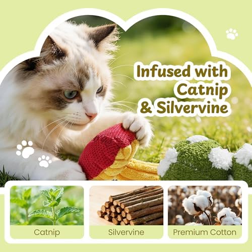 5 Pack Catnip Toys, Cat Toys with Catnip & Silvervine, Colorful Mushroom Kitten Teething & Cat Chew Toys with Different Textures, Funny Cat Kicking Toys for Indoor Cats