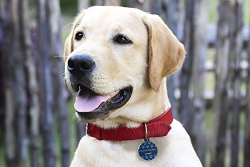 Dynotag® Web Enabled Super Pet ID Smart Tag with DynoIQ™ & Lifetime Recovery Service. Play Series: Round (Chief of Security)
