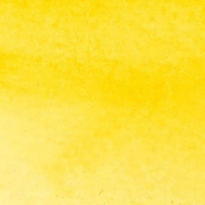 Winsor & Newton ProMarker Watercolor Marker, Cadmium Yellow Hue