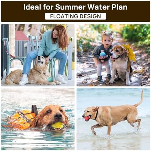 iPettie Summer Floating Dog Ball, Squeaky Water Fetch Toy