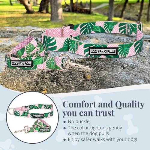 Lucky Love Dog Martingale Collar & Leash Set No Slip Cute – Laguna, Medium