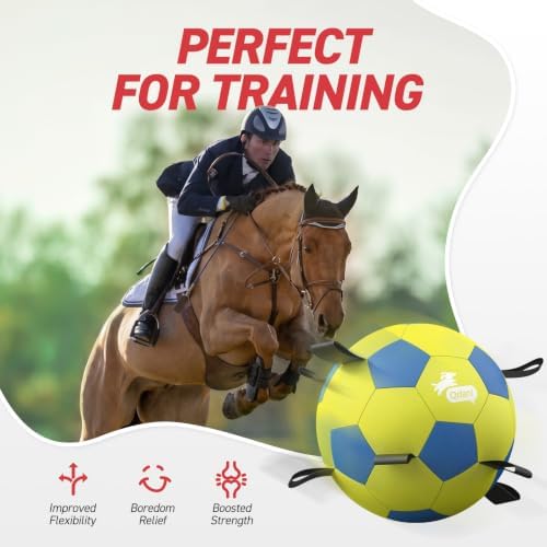 QDAN 25 Inch Herding Ball for Dog with Straps, Outdoor Dog Toys for Herding | Interactive Large Dog Herding Ball Chasing Training, Dog Ball for Border Collie, Australian Shepherd, Blue Heeler & Horses