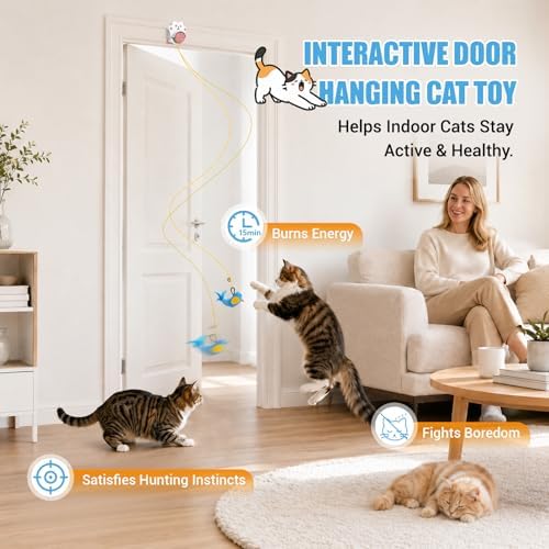Interactive Cat Toys for Indoor Cats, Automatic Flying Bird & Mouse