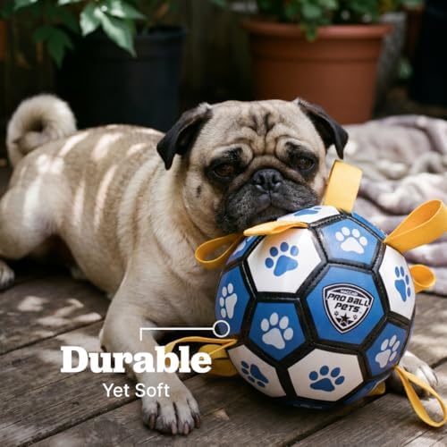 Maccabi Interactive Dog Soccer Ball for Dogs, 6” with Straps & Grab Tabs, Floats on Water, Fetch & Training Toy for Small/Medium Dogs, Herding Breeds, Waterproof Non-Toxic – ProBall Pets – Blue White
