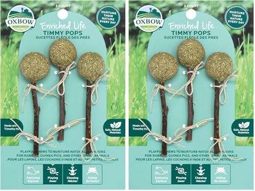 Oxbow Enriched Life Timmy Pops, Rabbit Toys, Guinea Pig Toys, Enrichment for Bunny, Guinea Pig, Hamster, Rabbit, Chinchilla, Timothy Hay, Chinchilla Cage Accessories, Small Pet Accessories for Cage