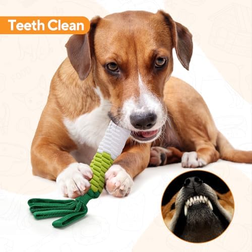 LIFLIX Dog Rope Toy 2PCS, Tug of War Dog Toy, Cute Carrot Dog Toy with Crinkle Paper Tags