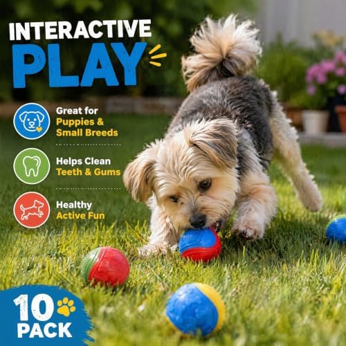 10-Pack Durable Dog Training Balls, Durable Chew Toys for Puppy and Small Breeds, Bouncy Interactive Fetch Toys for Garden Herding and Agility Play (Assorted Colours)