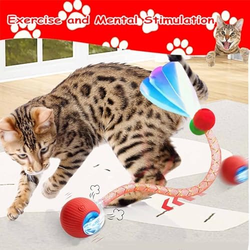 2PCS Interactive Cat Toy Rolling Ball with Tail Chewie Viral Dog Ball