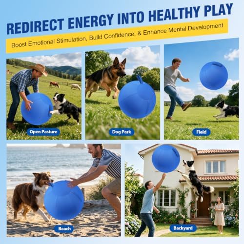 Herding Ball for Dogs Large for Australian Shepherd, Blue, Medium