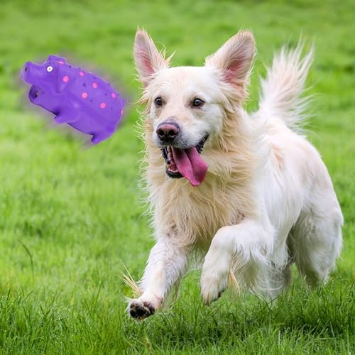 Squeaky Pig Dog Toys, Interactive Durable Latex Rubber that Oink Pig Chew Toy for Medium Large Dogs 2 Pack (Blue+ Purple)