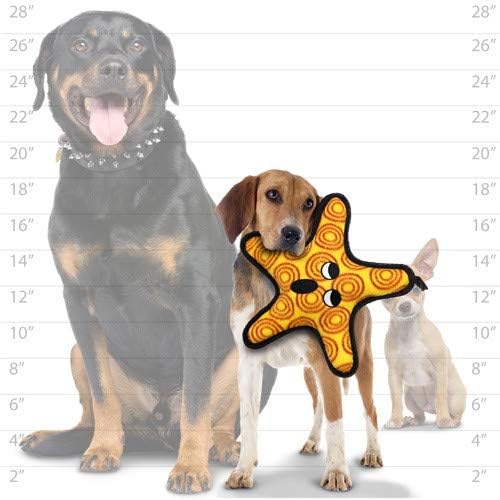 TUFFY® : 2 Pack Starfish Dog Toy: Ultra Durable Plush Toy with Multiple Layers & Reinforced Seams, Washable and Floats, Original Construction