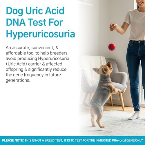 Dog Uric Acid DNA Test for Hyperuricosuria | Home Sample Collection Kit for 1 Canine | Dogs Uric Acid Testing | Results in 10-15 Working Days | A Complete Kit with No Extra Fees