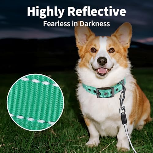 Segarty Reflective Boy Dog Collar for Dogs Neck 14.5-18.9in, Adjustable Wide Soft Comfortable Breathable Neoprene Padded Nylon Collar with Heavy Duty Metal Buckle for Medium Small Breeds (M, Green)