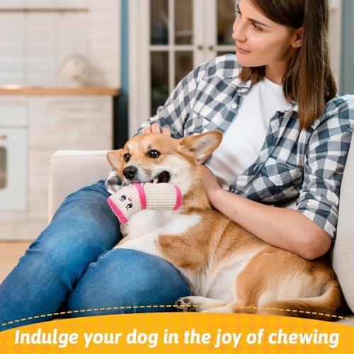 3 Pcs Dog Toy Funny Dog Chew Toys Plush Sock Interactive Toy Good for Dental Health Stuffed Socks Dogs Chewing Toys for Puppy Small Medium Dogs Chew Molar