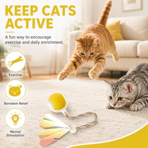 Interactive Cat Toy Ball with LED Lights – USB-C Rechargeable Automatic Cat Toy with Feather Tail for Indoor Cats & Kittens, Upgraded Version