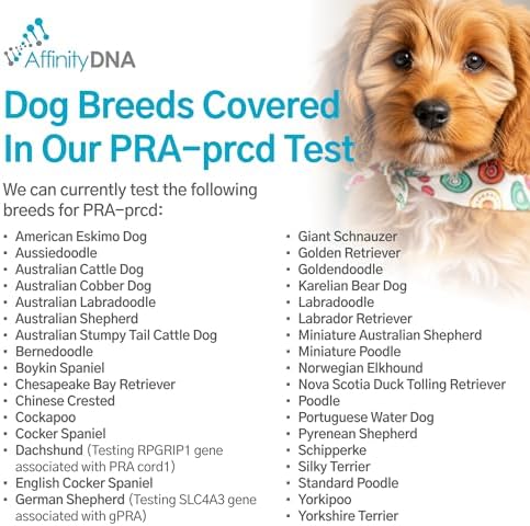 Dog Pra-prcd DNA Test | Home Sample Collection Kit for 1 Canine | Puppy Progressive Retinal Atrophy Test Kits | Results in 10-15 Working Days | A Complete Kit with No Extra Fees