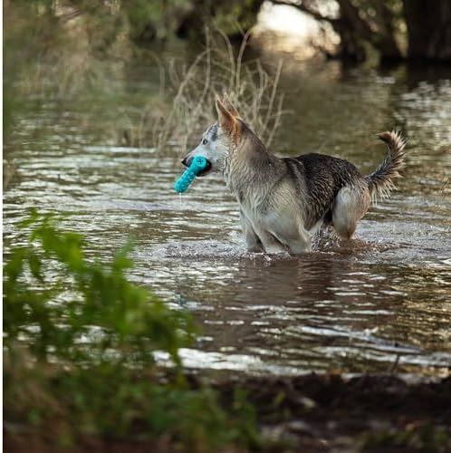 Messy Mutts Totally Pooched Huff n Puff Stick, 10 Inch, Puzzle, Teal
