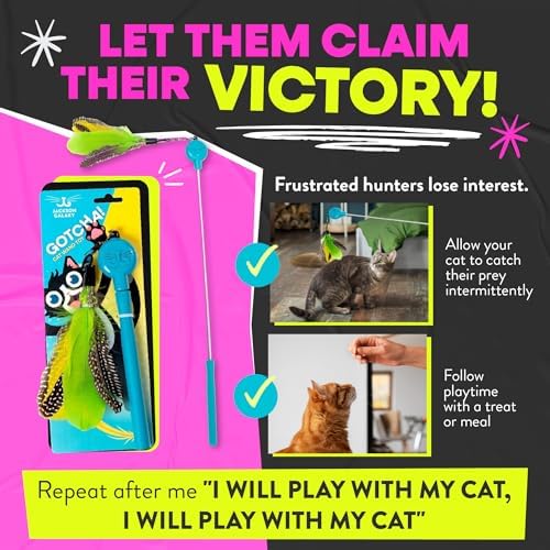 Jackson Galaxy Gotcha! Cat Wand Toy, Interactive Feather Teaser for Cats