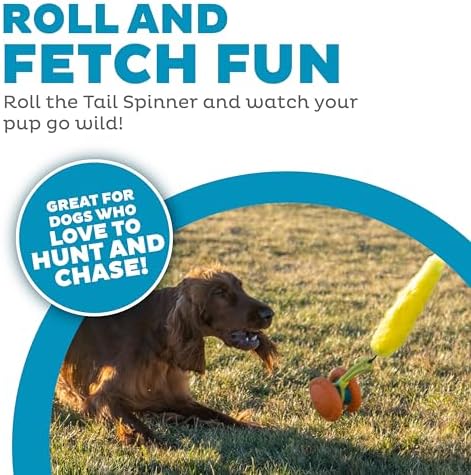 Outward Hound Tail Spinner Squeaky Dog Chase Toy with Furry Tail