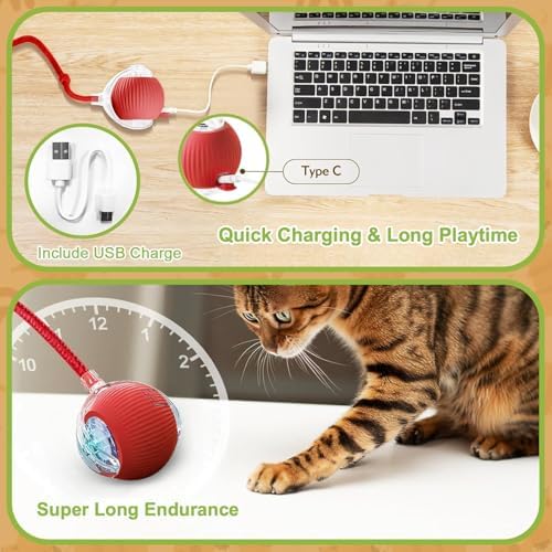 2 Pack Interactive Cat Puppy Toy Balls with Tail for Indoor