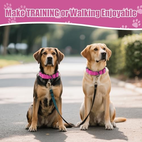 Martingale Dog Collar, Reflective No Pull with Buckle, Hot Pink, L