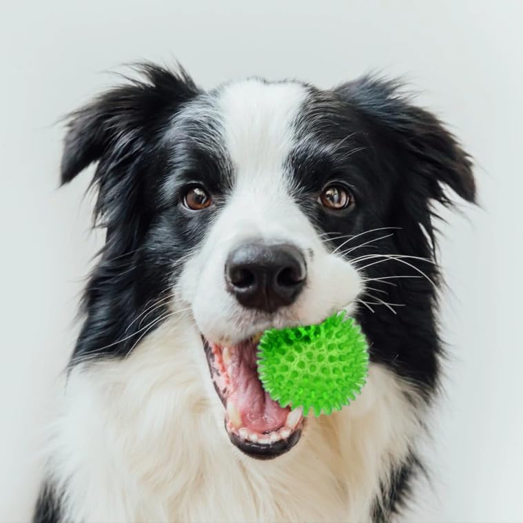 Cutie's PetBox Squeaky Rubber Spike Toy Ball for Small Dogs (2.5 Inch, Green)
