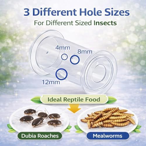 Bearded Dragon Toy - Reptile Enrichment Interactive Feeder Toy