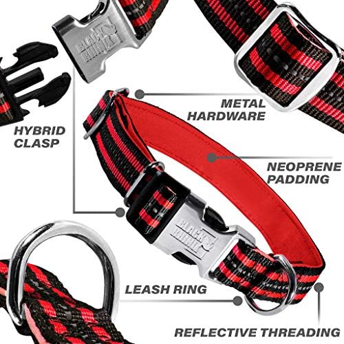 Black Rhino - The Hybrid Striped Dog Collar (Small) for Medium Large Breeds | Heavy Duty | Soft Padded Neoprene - Reflective & Adjustable - Matching Leashes Sold Separately