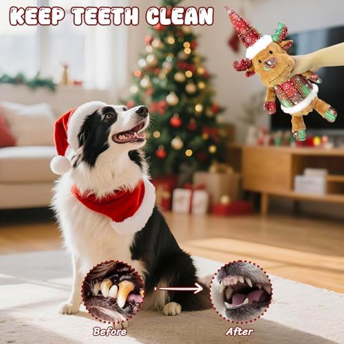 Christmas Dog Toys Squeaky 2-Pack Interactive Puppy Teething