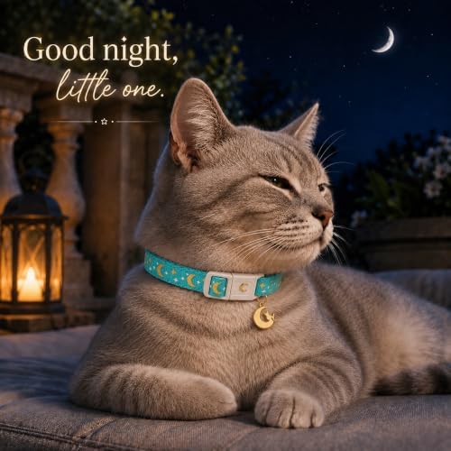 Breakaway Cat Collar with Bell for Kittens & Cats