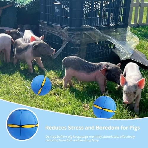 Pig Toy - Toy for Pigs, Interactive Pig Flying Saucer Disc Ball Toys with 6 Lights for Mini Pigs, Enrichment Play for Pet Pigs Supplies Enjoyment and Fun
