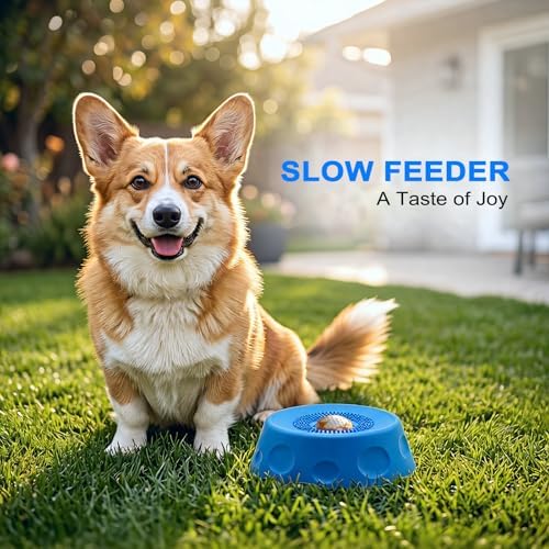 Dog Lick Bowl - Dog Enrichment Toy, Non-Slip Rolling Ball, 280ML, Blue