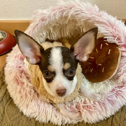 Small Dogs Puppy Squeaky Dog Toy,4-Pack Donut Shaped Interactive Pet Toys,Soft Plush Squeak Toy for Small Dog Exercise (3 Colors)