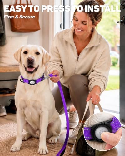 Padded Dog Collar with Waterproof Holder Compatible with Airtag