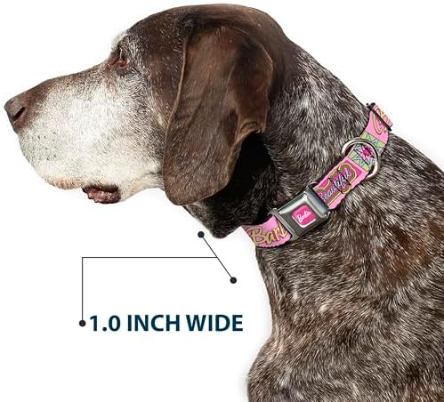 Mattel Pet Collar, Dog Collar Metal Seatbelt Buckle, Barbie Smart Beautiful Strong Icons Pink Multi Color, 16 to 23 Inches 1.5 Inch Wide