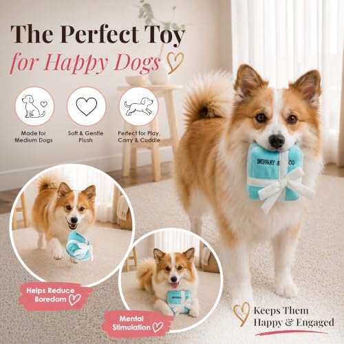 Dog Diggin Designs Sniffany & Co Large Plush Dog Toy Box | Luxury-Inspired Parody Designer Gift Box with Built-in Squeaker, Soft Plush Interactive Dog Toy – Thinking Outside The Box!