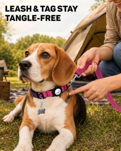 Padded Dog Collar with Waterproof Holder Compatible with Airtag