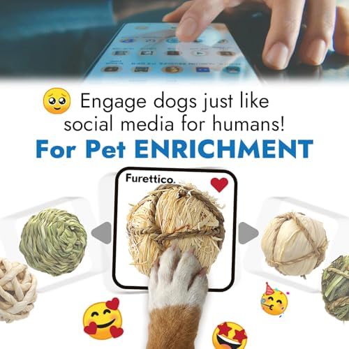 Natural Dog Chew Toy, 1pcs Woven Grass Chew Ball for Dogs, Dental Teething Toy & Interactive Fetch Toys, Outdoor Rattan Digestible Chew Ball for Boredom Relief - Seaweed & Corn Silk